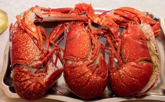 best seafood restaurants in boston