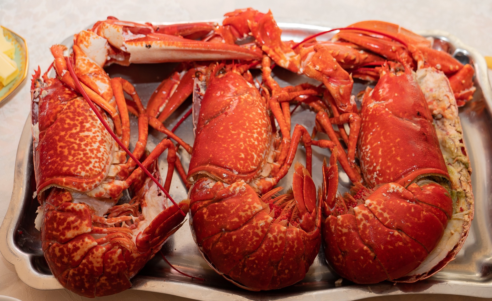Best Seafood Restaurants in Boston USA