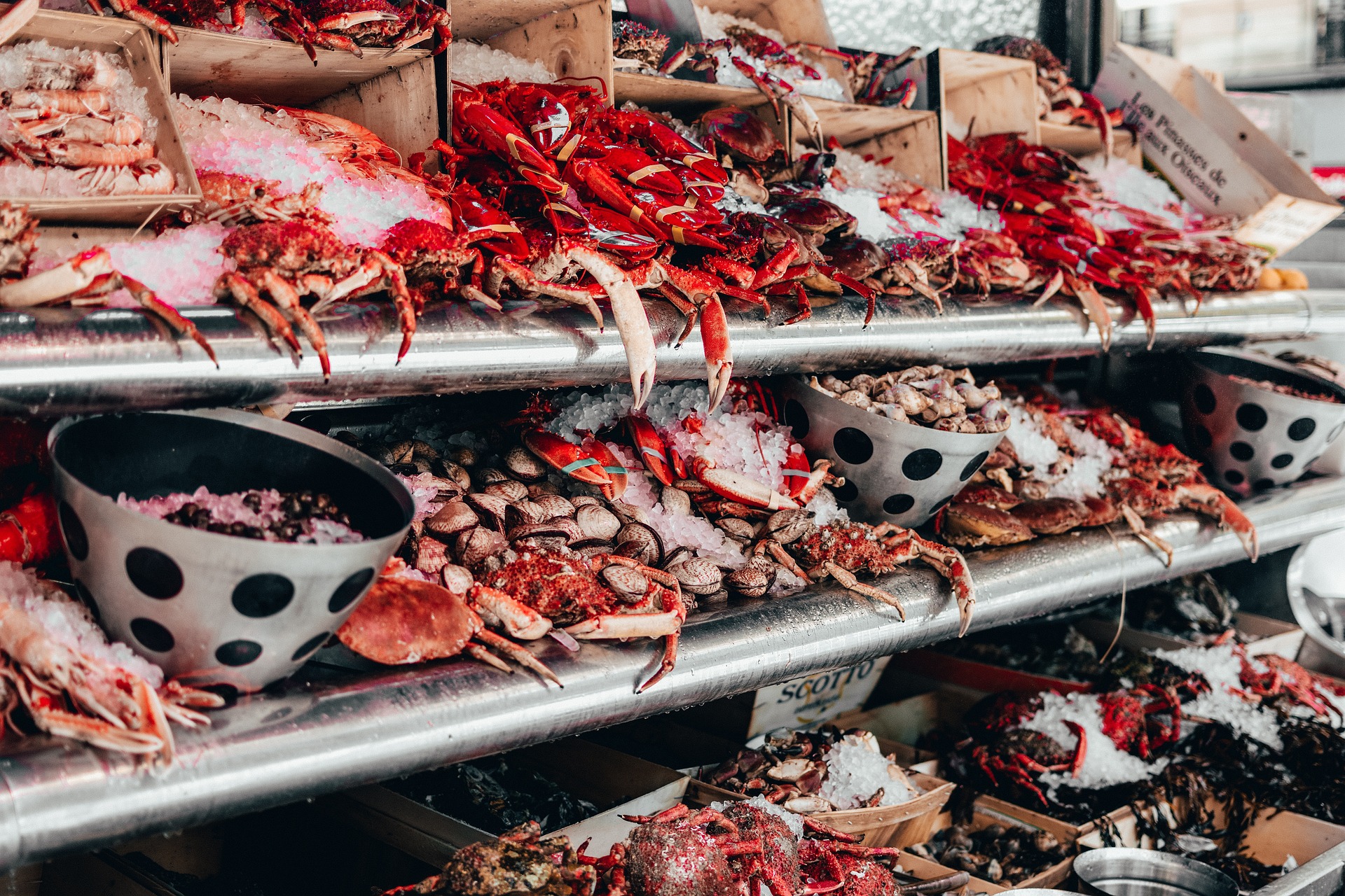 Italian Seafood Markets