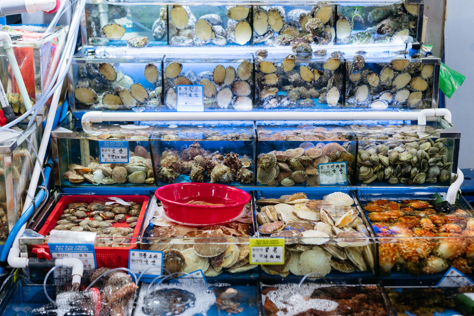 Korean Seafood Markets