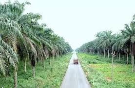 5 Tourist Destinations to Experience in Imo